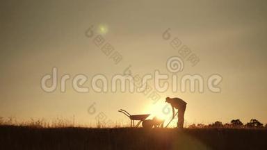 幸福的家庭父子在夕阳下的田野里收割